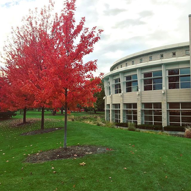 It’s fall, y’all. The leaves are changing and it’s getting colder outside. Have you curled up with a good book by the library’s fireplace yet?  #staywarmmyfriends #elmhurst #elmhurstil #autumn