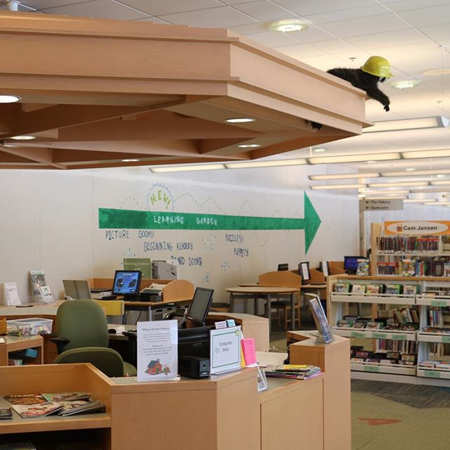 Can you spot the raccoon in the construction hat? Stop by the Kids’ Library to try the Renovation Scavenger Hunt! There’s a new one every week! #elmhurstil #library #renovation #scavengerhunt #lookup